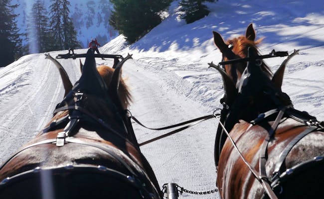 Kutschenfahrt durch den Schnee im Heidiland, Pferde ziehen die Kutsche.