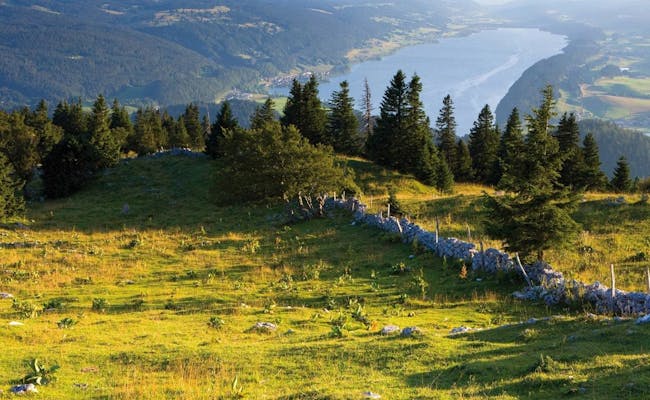 Wandern beim Lac de Joux (Foto: Schweiz Tourismus Roland Gerth)