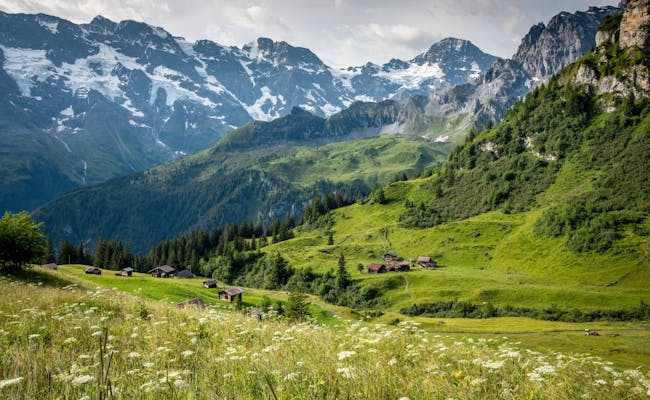 From Allmendhubel you can go on many hikes (Photo: Jungfrau Region Tourismus)
