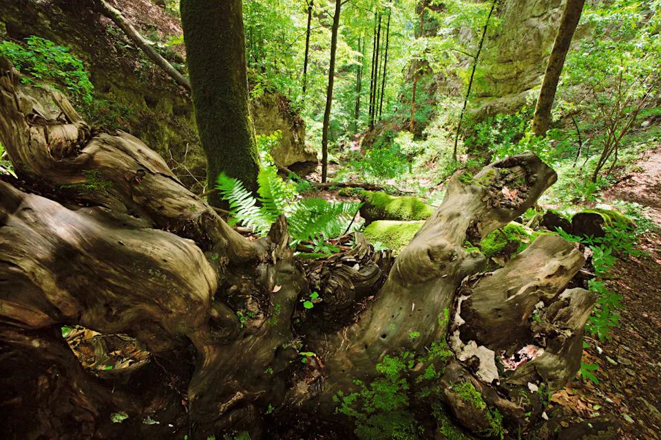 Naturpark Thal