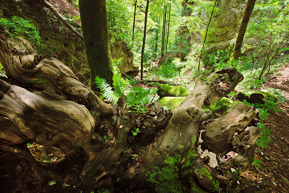 Naturpark Thal