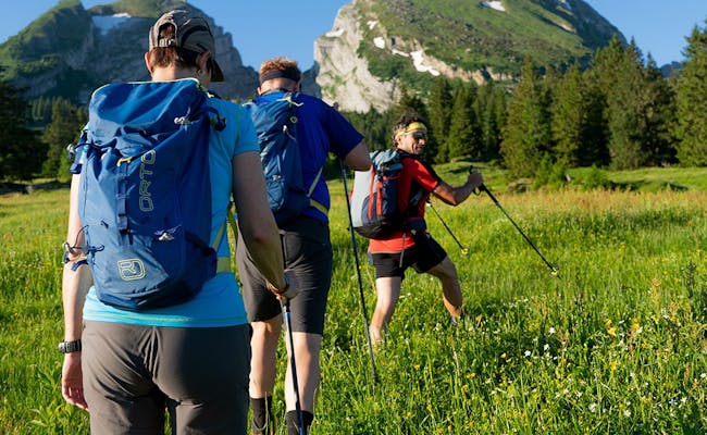 वालेंस: अपने मित्रों के साथ प्रकृति में हाइकिंग का आनंद लें वालेंस क्षेत्र में।