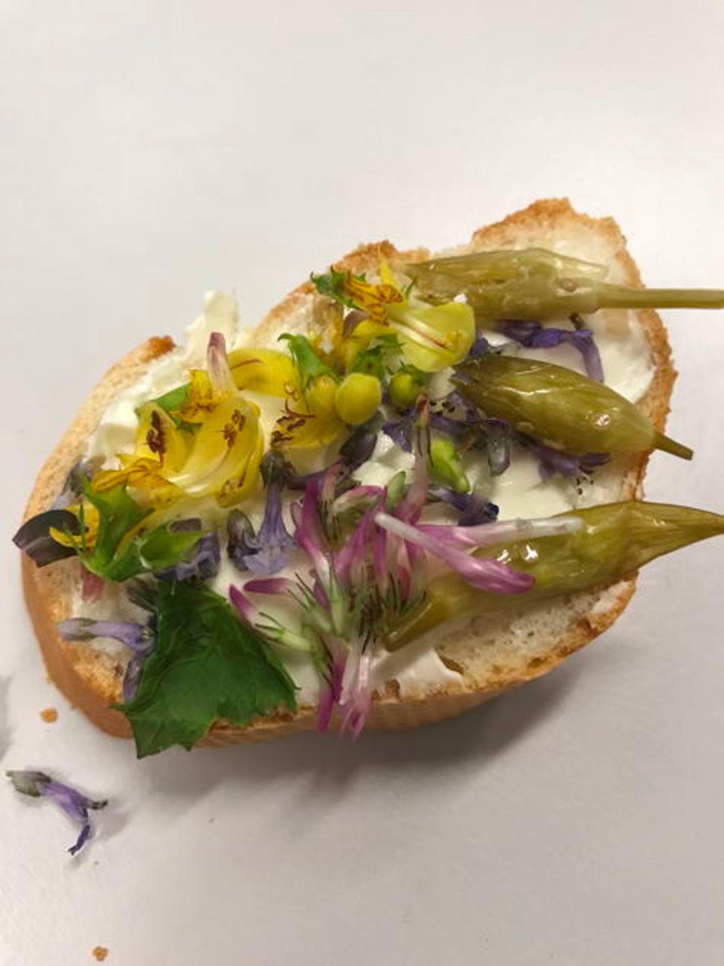 Typisk schweizerisk køkken, smørbrød med friske krydderurter og blomster