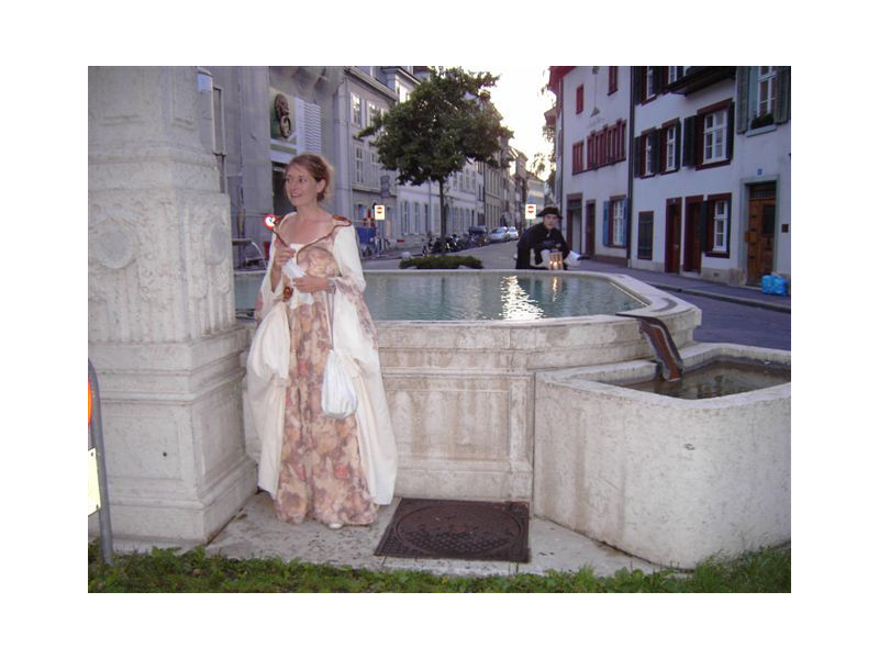 Lawatan malam bandar Basel dengan air pancut dan latar bersejarah.