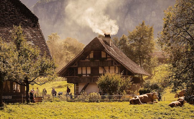 Ballenberg with a smoking chimney and cows in the Bernese Oberland