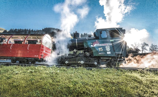 Brienzer Rothorn steam locomotive runs through a green landscape with steam