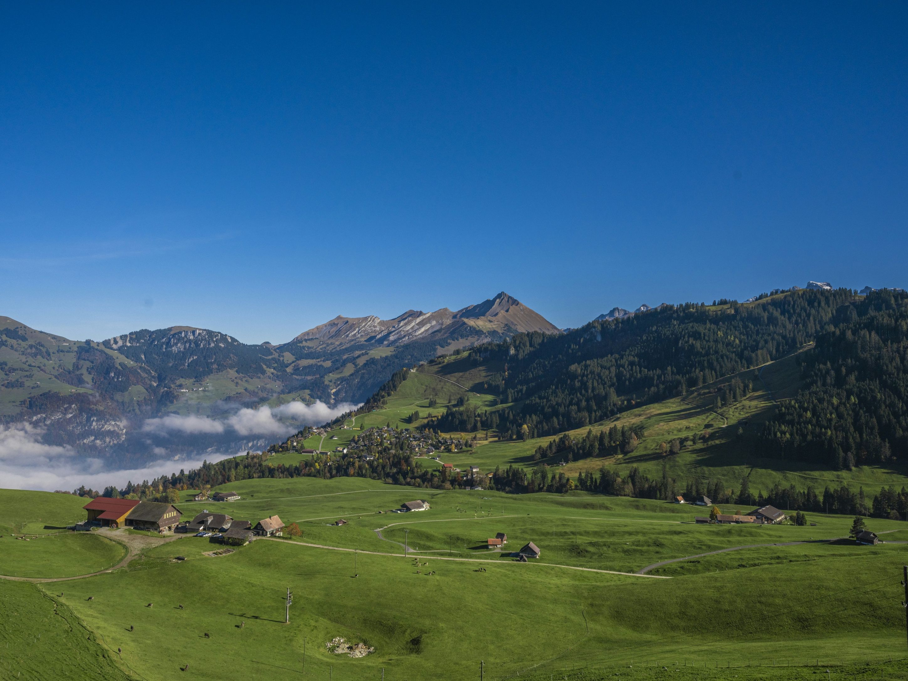 Dallenwil: Bellissimo paesaggio di prati con montagne e cielo sereno nella stagione estiva