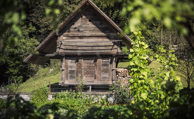 Sklad obilí Ballenberg obklopený rostlinami na volném prostranství.