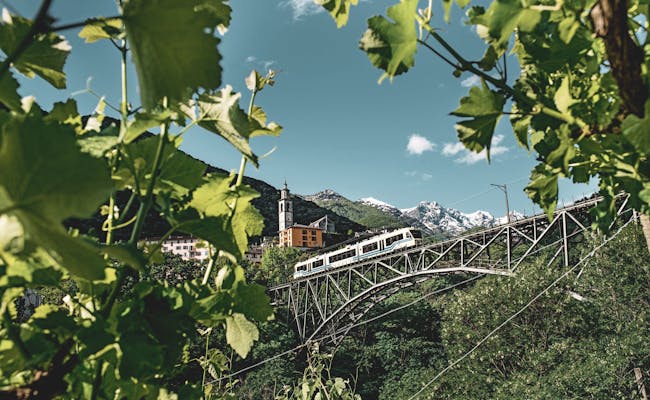 Intragna Centovalli Bahn: paisaje pintoresco, viñedos, montañas, Suiza, verano
