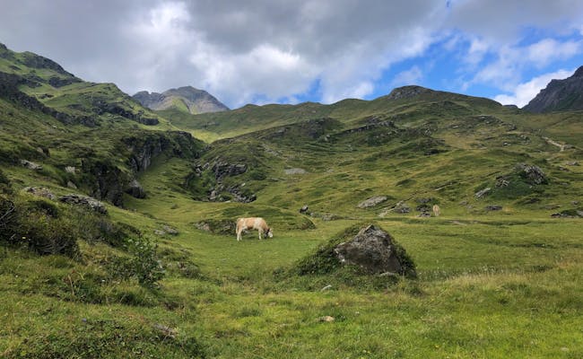 Alpine farm on the way to Bachalpsee (Photo: Seraina Zellweger)