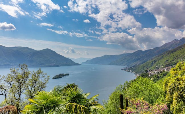 Lake Maggiore: view of the lake, hills and surroundings with flowers in summer.