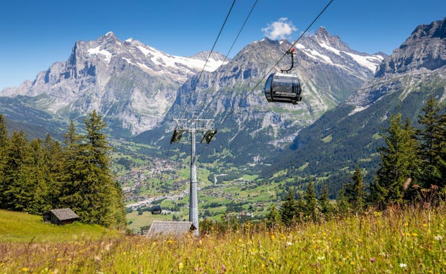 Gondola de 10 pessoas Männlichen com vista para a paisagem alpina
