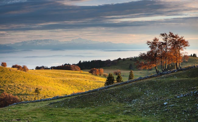 Green meadows in the Neuchâtel Jura (Photo: Switzerland Tourism Roland Gerth)