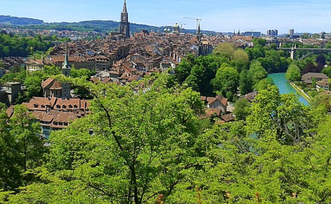Vista dal Rosengarten a Berna con vista sugli alberi verdi e sulla città vecchia.