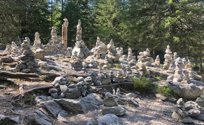 Stone formations near the forest (Photo: Seraina Zellweger)