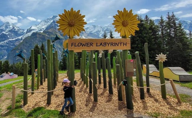 Flower Park (Photo: Schilthornbahn)