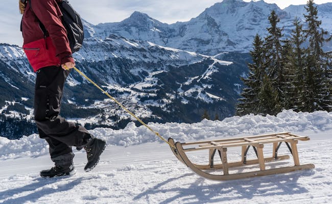 In winter the "Bob Run" starts on the Allmendhubel (Photo: Jungfrau Region Tourism)
