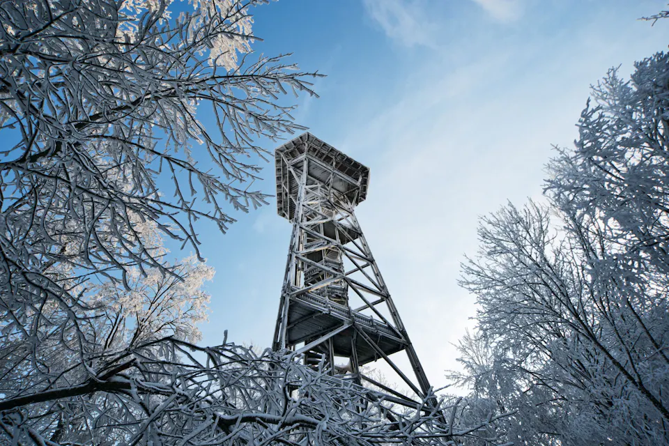 Naturpark Zürich Sihlwald Hochwacht