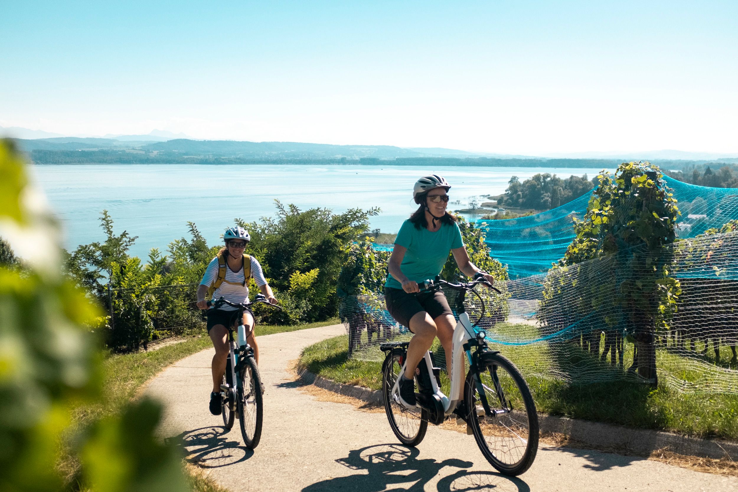 Jízda na kole mezi ovocnými plantážemi ve Švýcarsku, cyklistky na cestě, slunečné počasí.