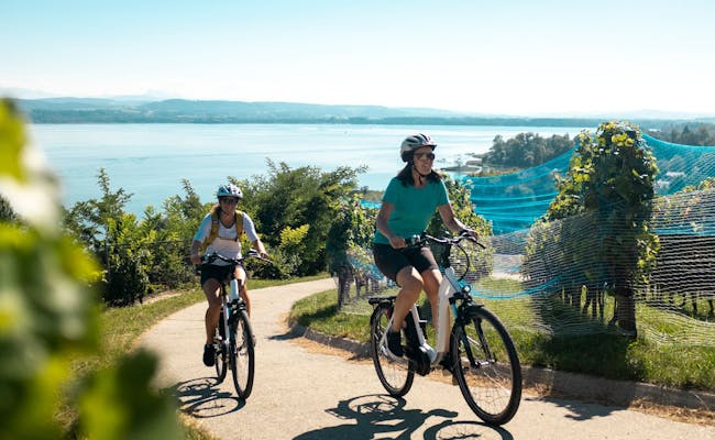 Tour en bicicleta por huertos frutales en Suiza, ciclistas en acción, clima soleado.