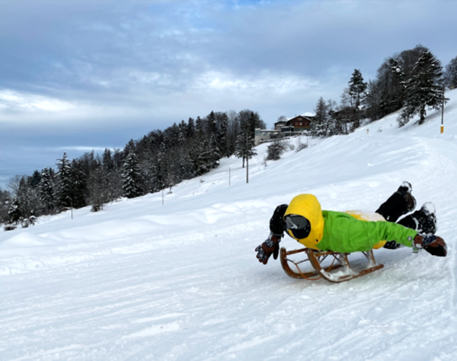 Zugerberg: Andar de trenó no paraíso de neve com vista para montanhas e florestas cobertas de neve.