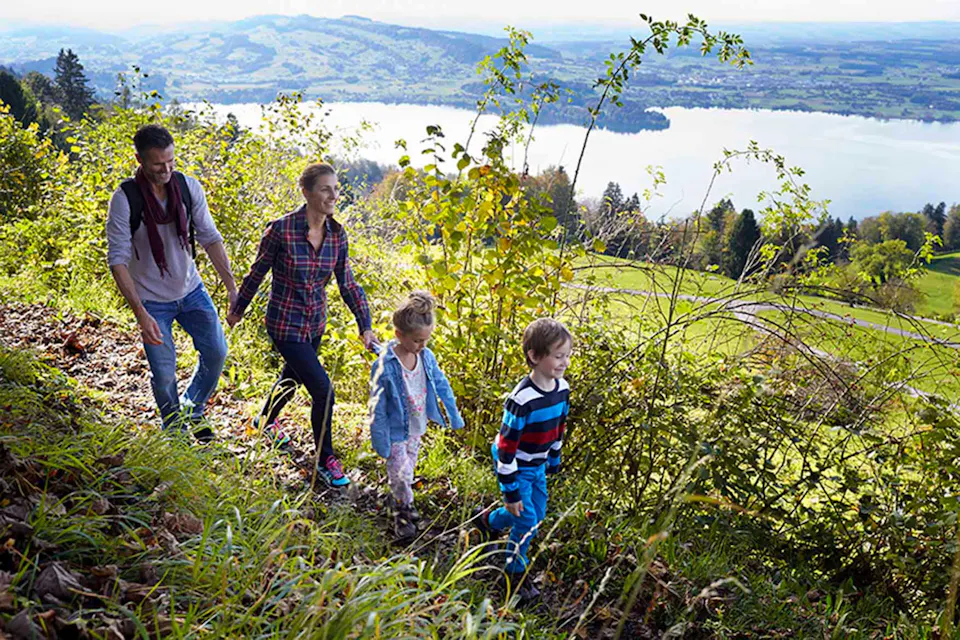 Zugerberg Wandern Zugersee