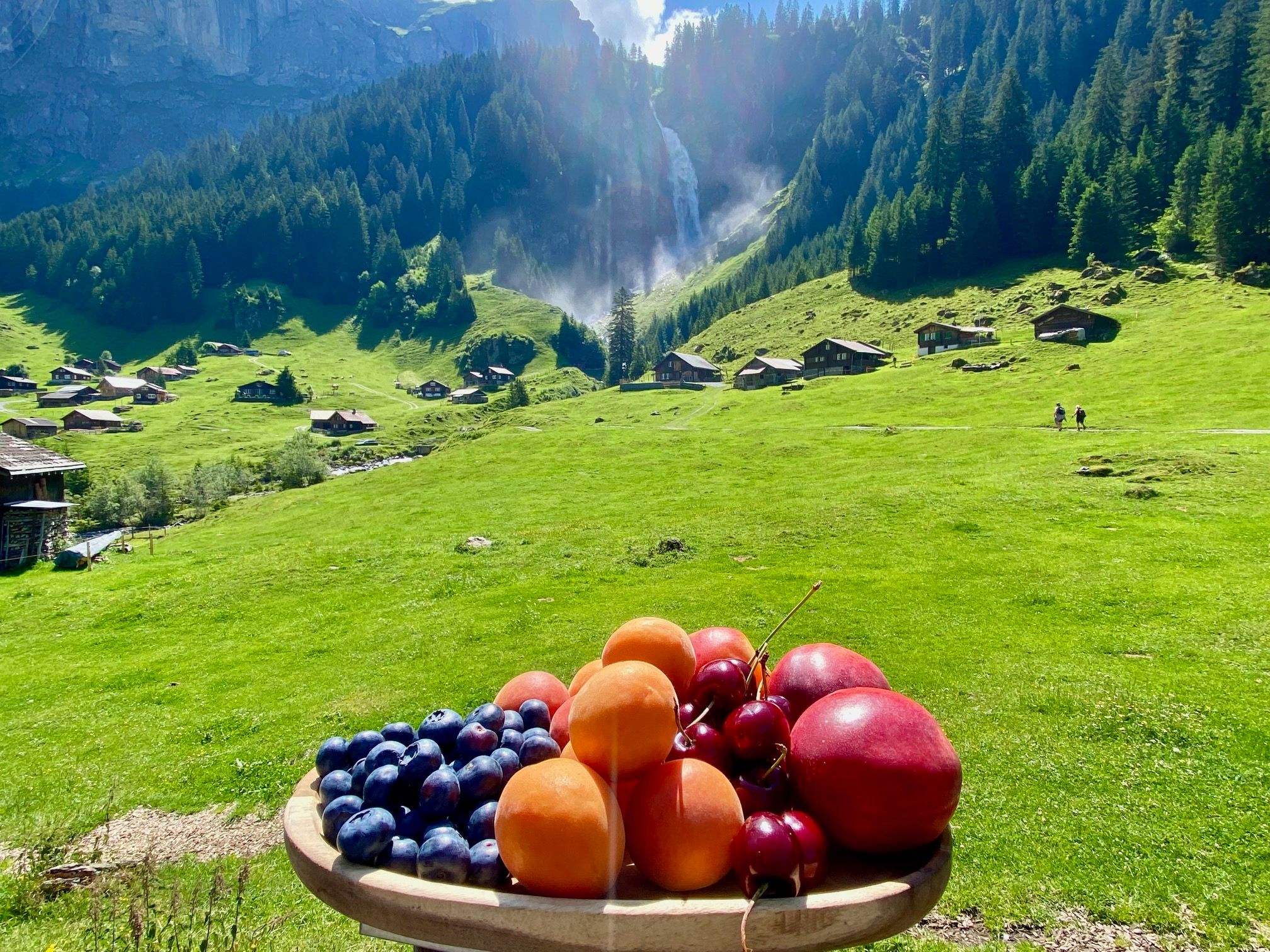 스위스의 맛: 폭포와 알프스 초원 가운데 신선한 과일, 순수한 자연.