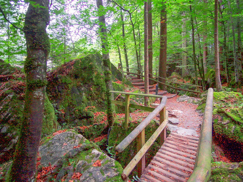 Blausee Wanderweg 