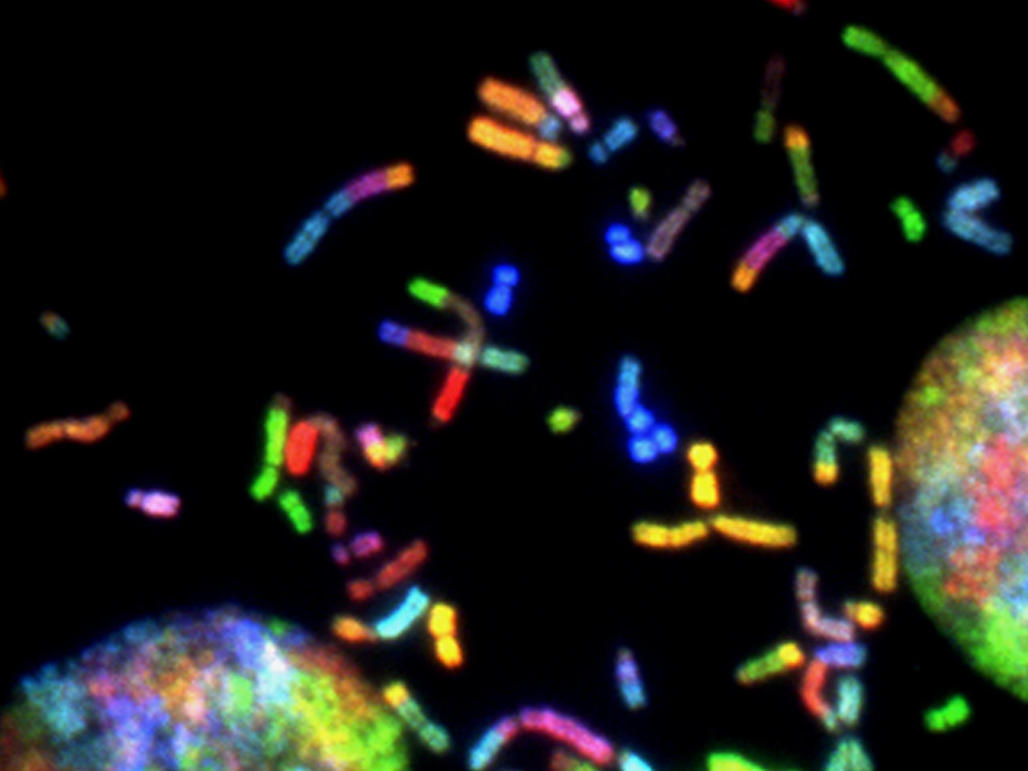 顕微鏡で見るDNA構造は鮮やかな色合いです。