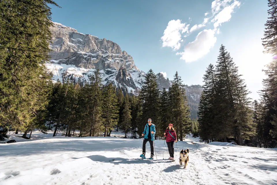 Schneeschuhwandern mit dem Hund