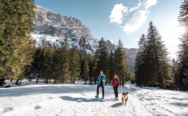 Escursione con le racchette da neve con il cane (Foto: Svizzera Turismo André Meier)
