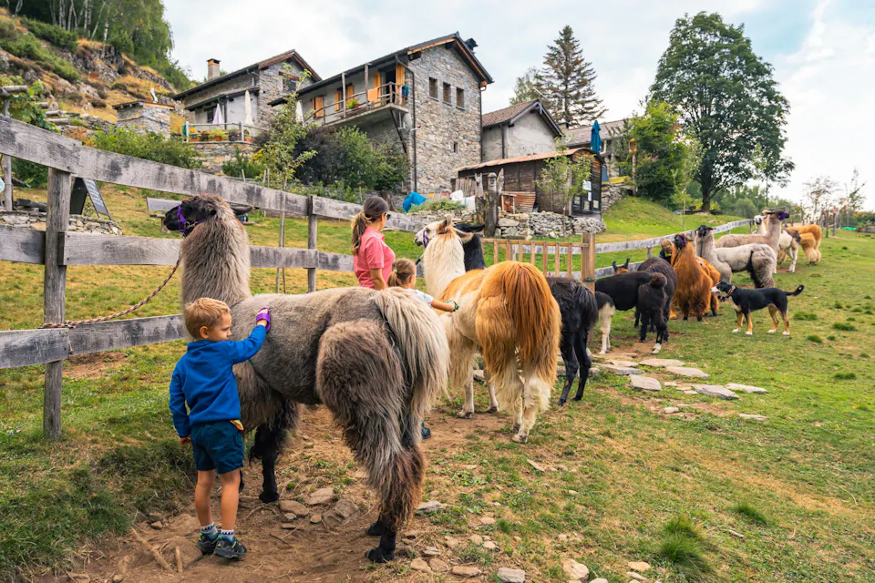 Kindergeburtstag Monte Comino Lama Trekking