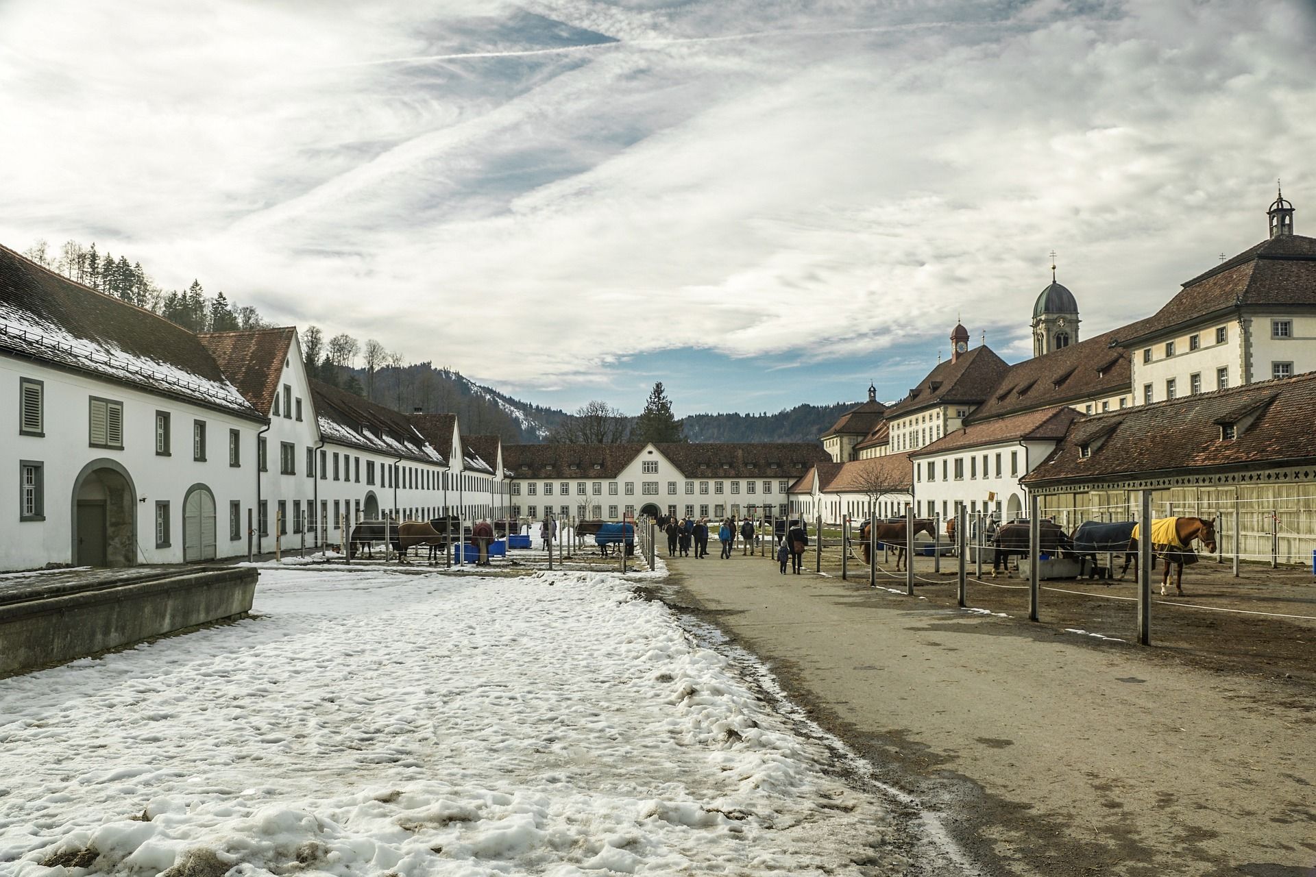 Hästar i klostrets stall i Einsiedeln med utsikt över den historiska arkitekturen.