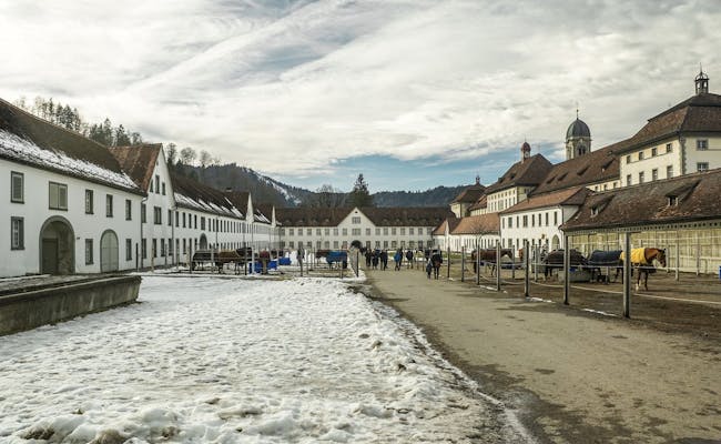 Cavalos no estábulo do Mosteiro de Einsiedeln com vista para a arquitetura histórica.