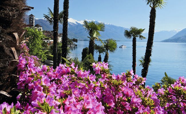 Lago Maggiore s kvetoucími květinami a palmami, jemné vlny, jarní počasí