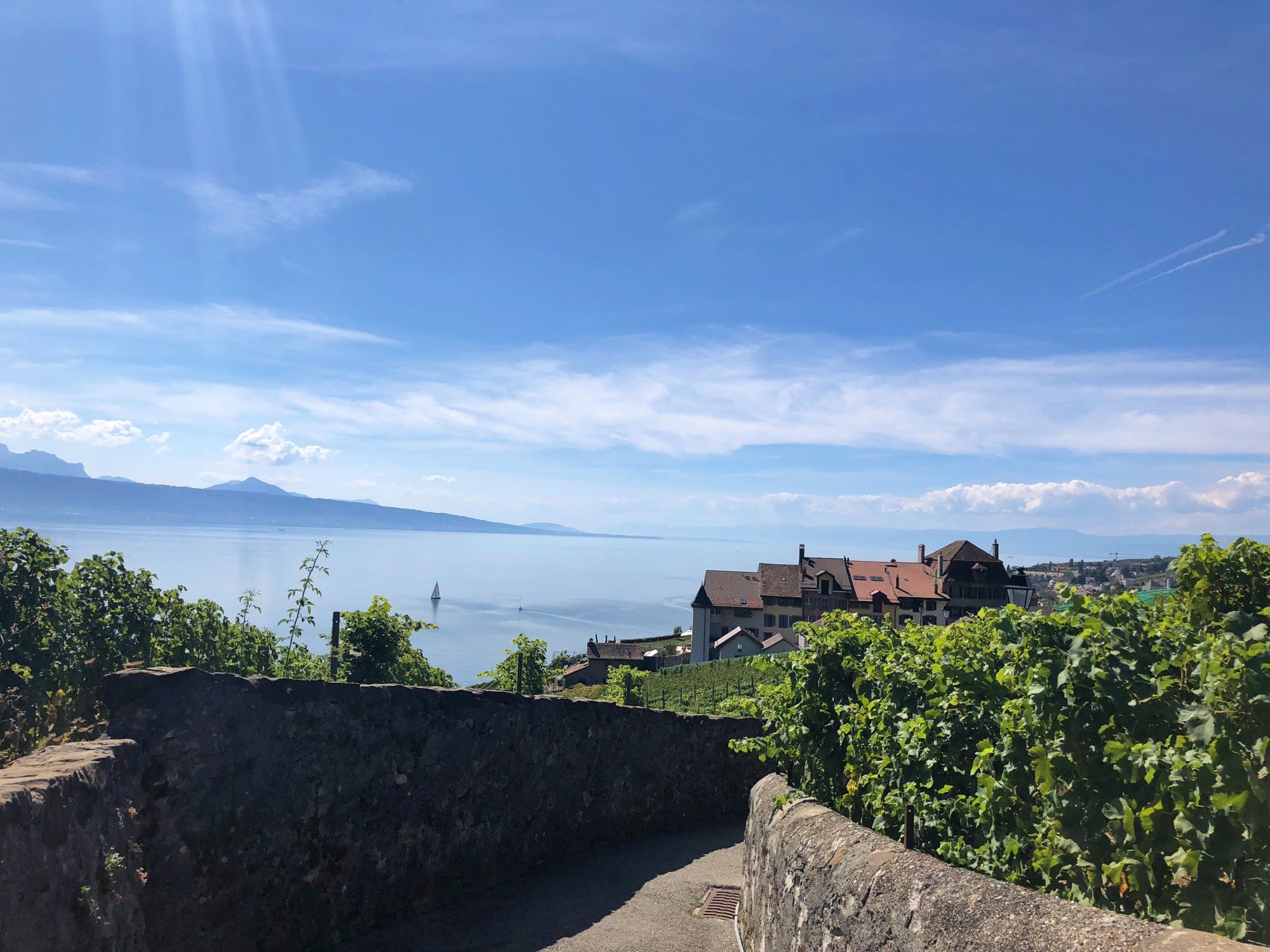 Caminho de Steinweg Lavaux com vista para o lago e vinhedos em lindo clima de verão.