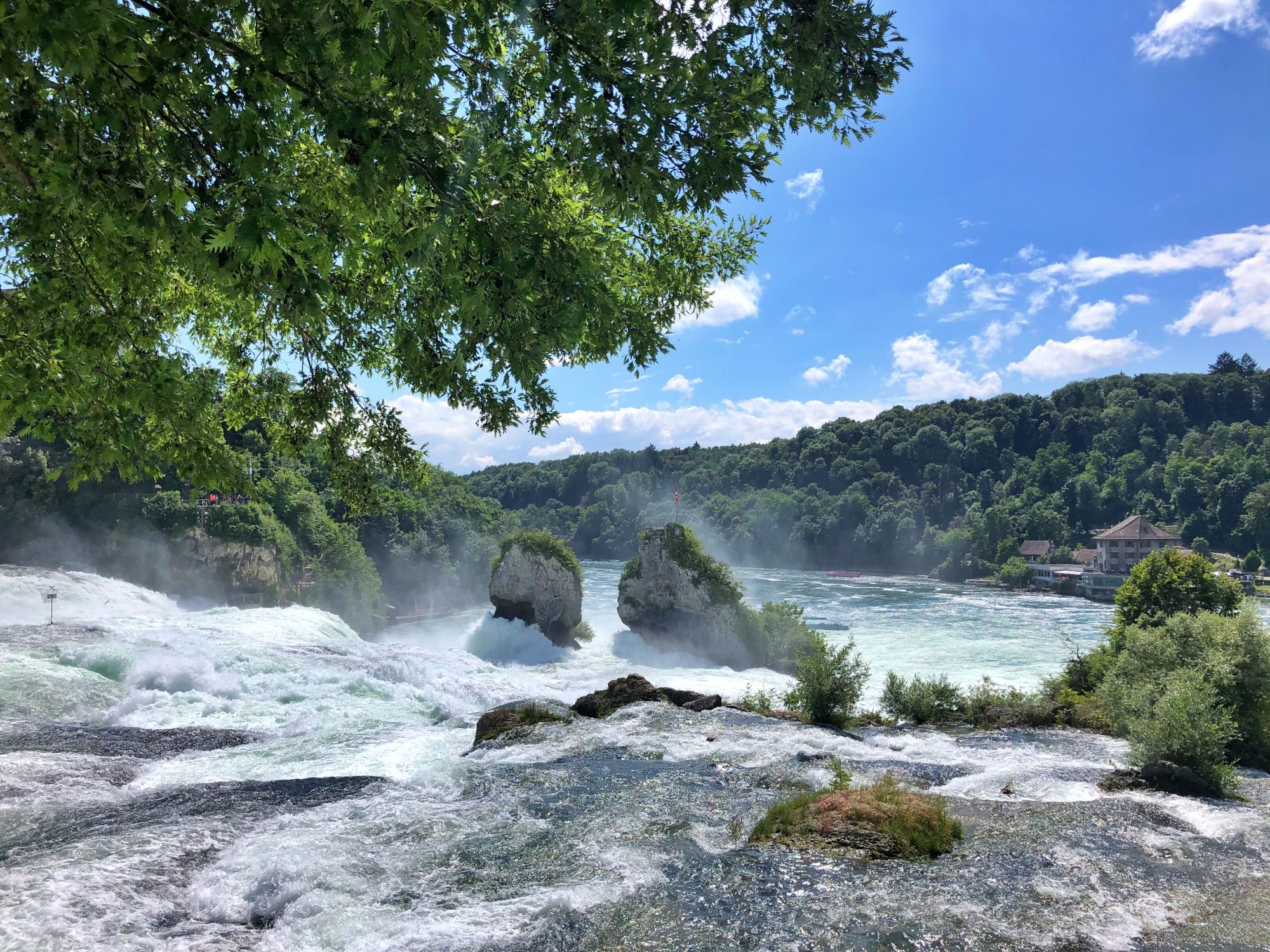 Chute d'eau du Rhin en Suisse avec de l'eau jaillissante et un environnement impressionnant.