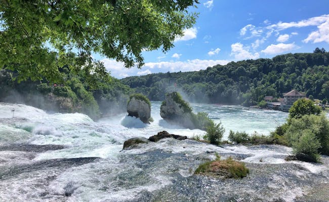 Cascada de Rheinfall en Suiza con agua burbujeante y un impresionante entorno.