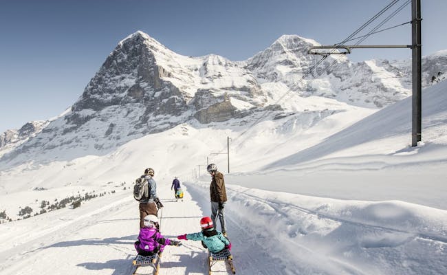Pista da slittino Eiger Run (Foto: Ferrovie della Jungfrau)