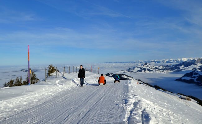 Trineo en el Kronberg: Disfruta del paisaje nevado de pistas y del aire fresco de invierno.