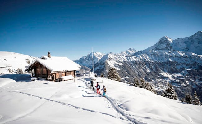 Snowshoeing in Isenfluh in winter, mountain landscape with snow