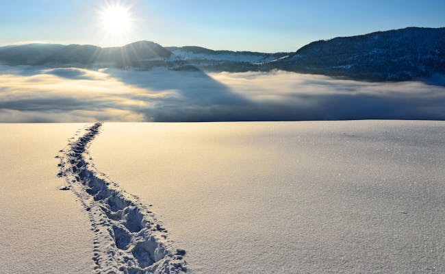 Naturpark Thal: Zasněžená krajina s stopami v zimě, ideální pro odpočinek a zážitky z přírody.