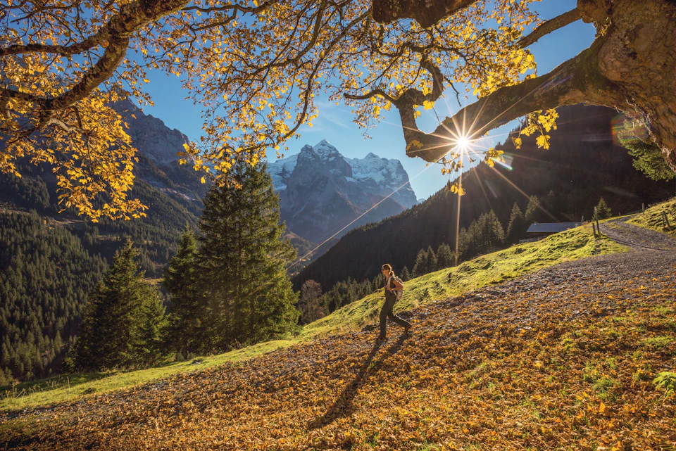 Wandern Rosenlaui Herbst