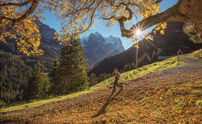 Hiking in Rosenlaui in autumn with colorful leaves and picturesque mountain scenery.