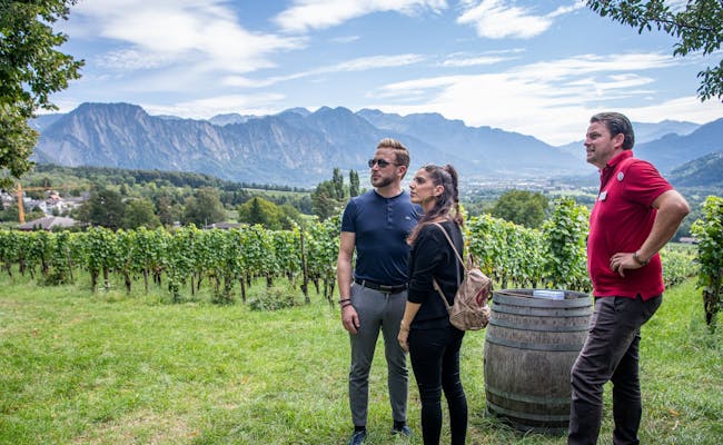 visite guidée du vin (photo : Wine Tours Switzerland)