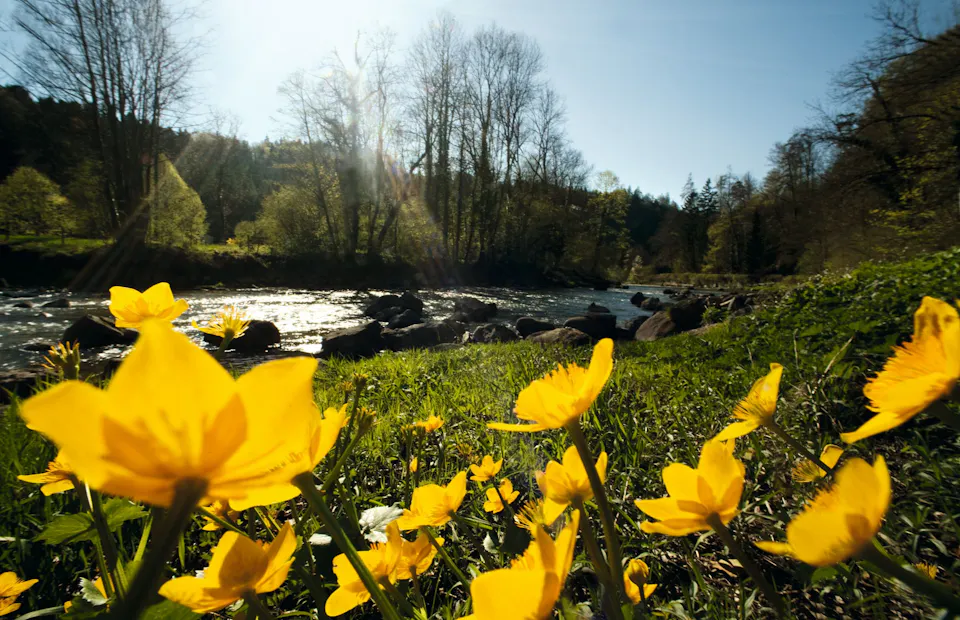 Naturpark Zürich Sihlwald