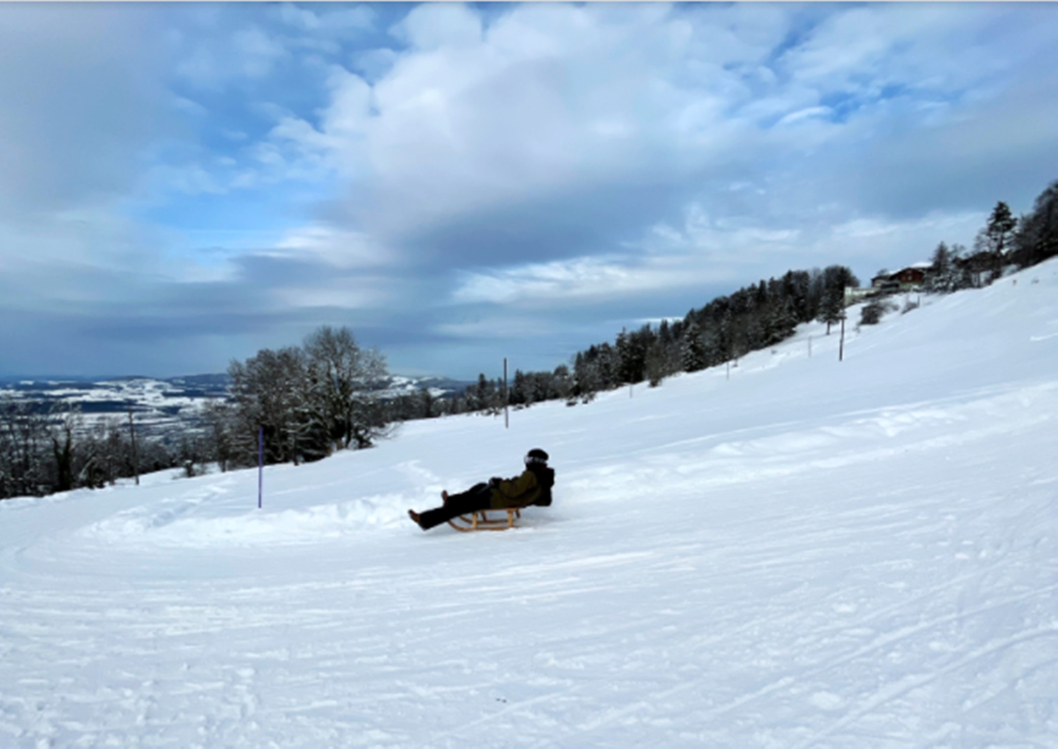 Pista de tobogã no Zugerberg: Tobogã no paraíso da neve com uma vista impressionante. Ideal para crianças e grupos.