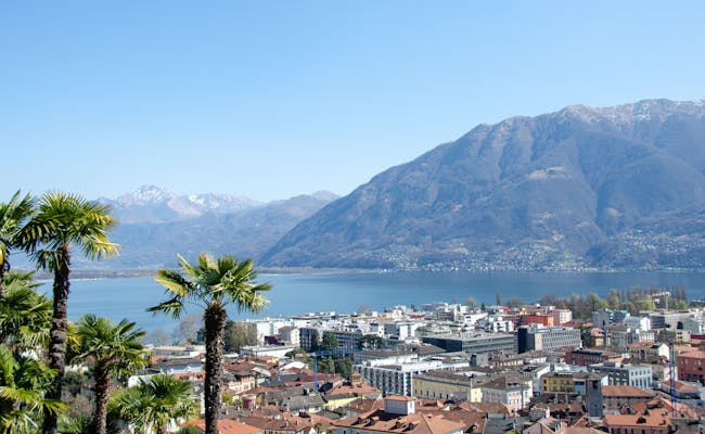 Lago Maggiore: Pemandangan Ascona dengan pokok palma, gunung dan air berkilauan, sempurna untuk bersantai.