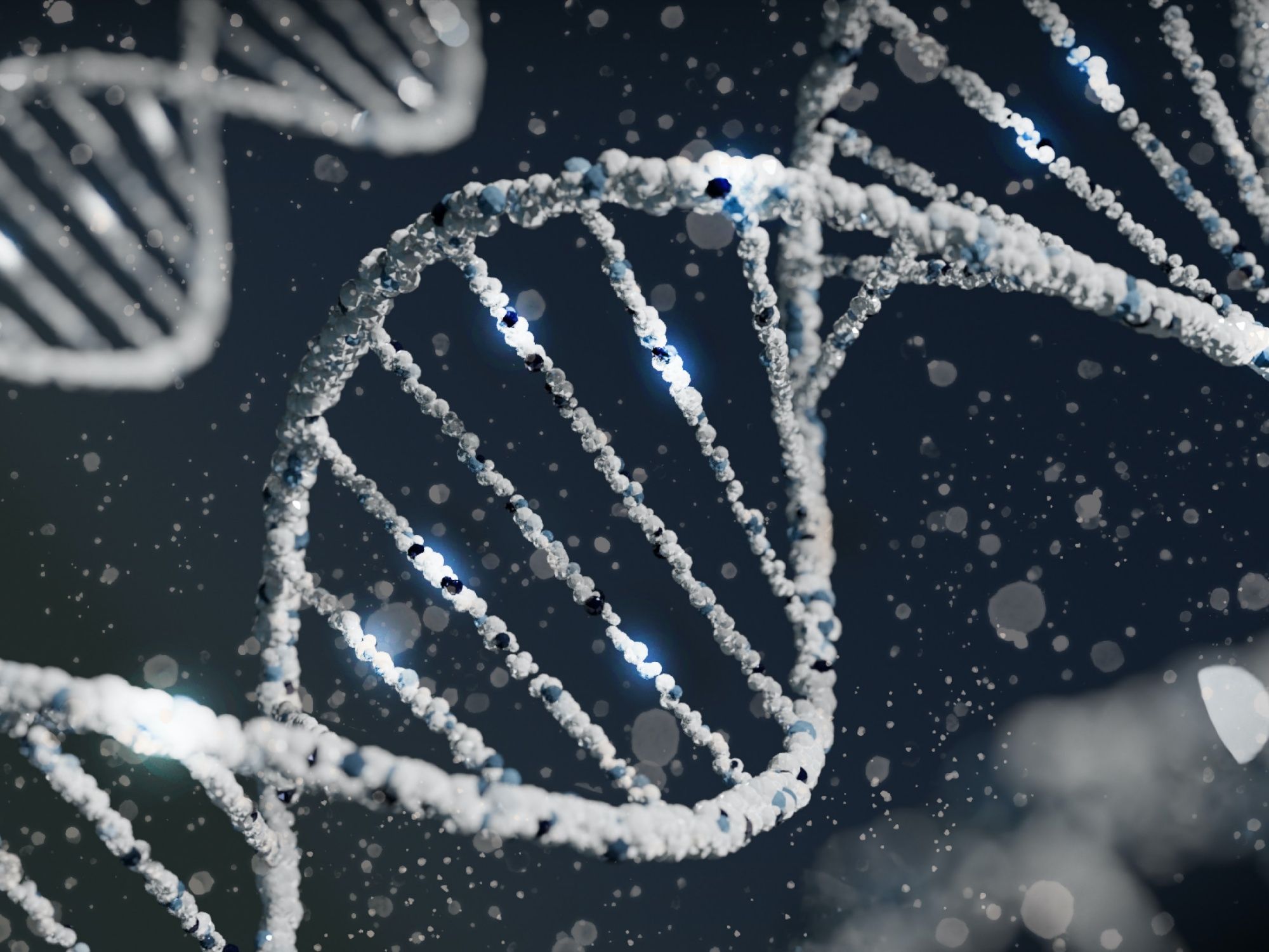 スイスのDNA構造が独特の詳細を示す