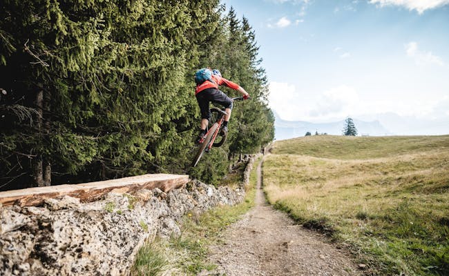 Biketrailer Rene Wildhaber (Photo: Switzerland Tourism Andre Meier)